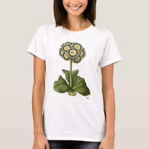 Camiseta Primula Auricula Azul