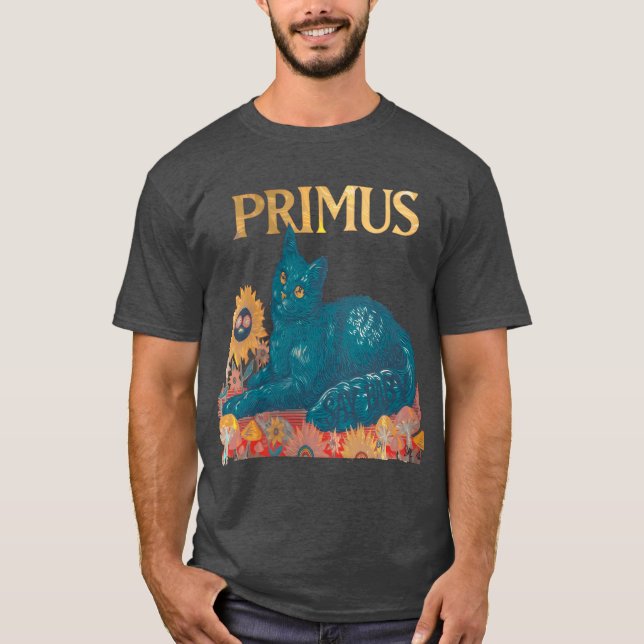 Camiseta Primus Raw Epressive Com Contação de Histórias Emo (Frente)
