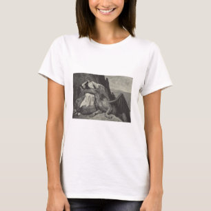 Camiseta Princesa e Pet Dragon