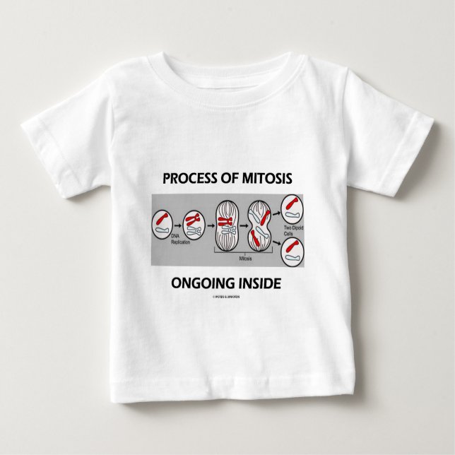 Camiseta Processo De Mitose Dentro Em Curso (Frente)