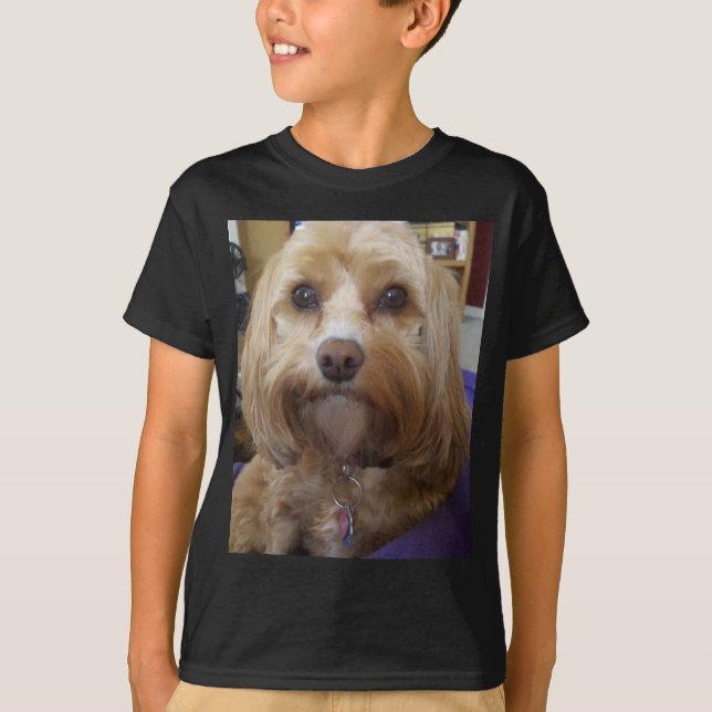 Camiseta Produtos de Cavapoo ou de Cavadoodle (Frente)