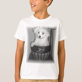 Camiseta Produtos de MaltiPoo