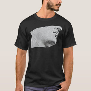 Camiseta Professor de Abstrato de Arte da Estátua Romana da