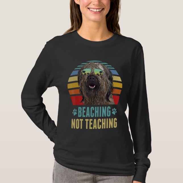 Camiseta Professor de Cachorro do Briard Sensing Summer (Frente)