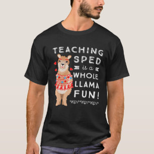 Camiseta Professor de Educação Especial Ensino SPED Lla In