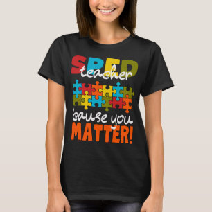 Camiseta Professor de Educação Especial SPED porque você im