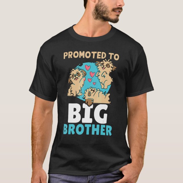 Camiseta Promoted To Big Brother (Frente)
