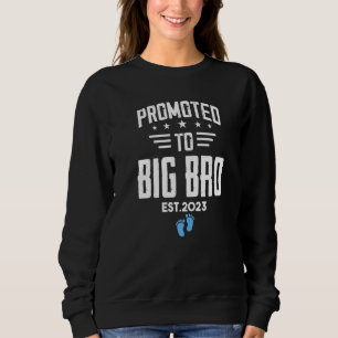 Camiseta Promovido ao Big Bro 2023 É uma gravidez infantil 