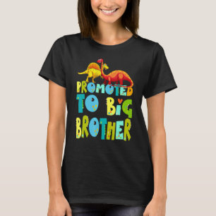 Camiseta Promovido Ao Grande Irmão Dino Gender Reveal Party
