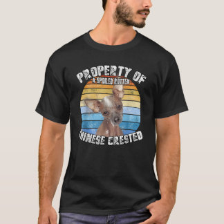 Camiseta Propriedade Retro do Crestado Chinês