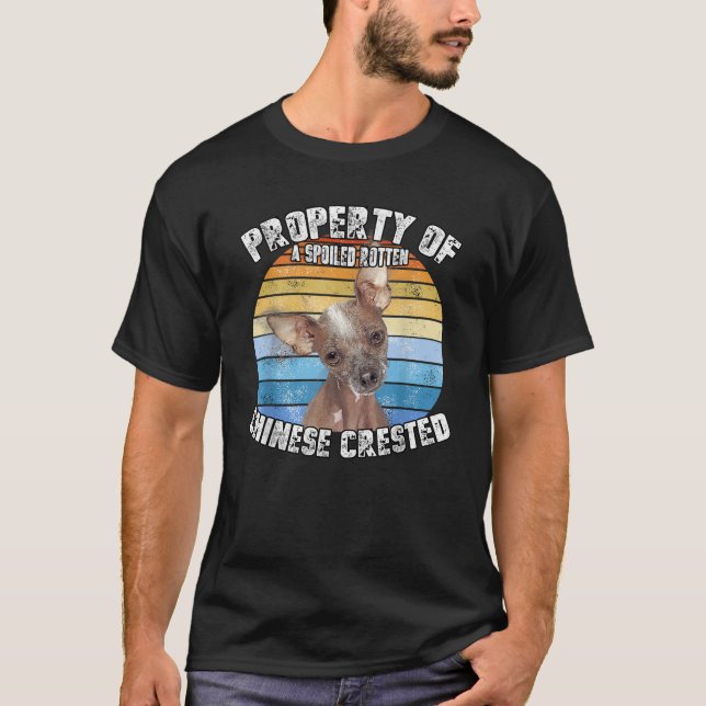 Camiseta Propriedade Retro do Crestado Chinês  (Frente)
