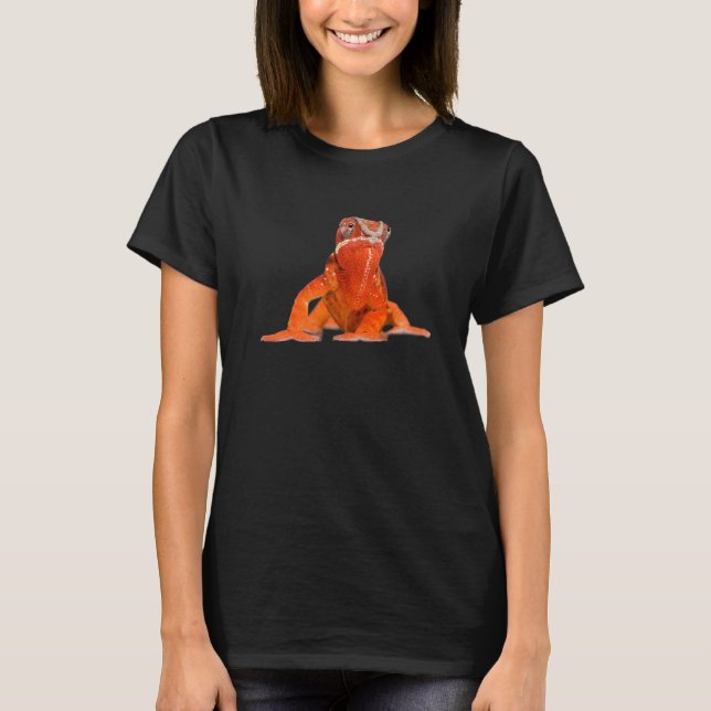 Camiseta Proteção dos animais de companhia (Frente)
