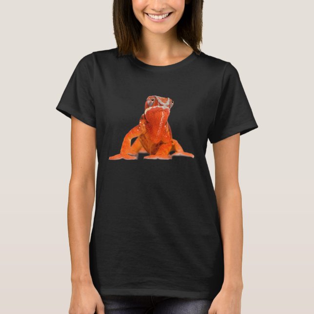 Camiseta Proteção dos animais de companhia (Frente)
