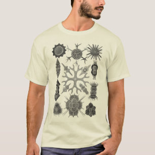 Camiseta Protozoários