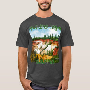 Camiseta Providence Canyon State Park Georgia