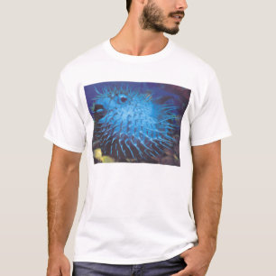 Camiseta Pufferfish