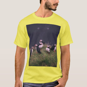 Camiseta Puffins Atlântico
