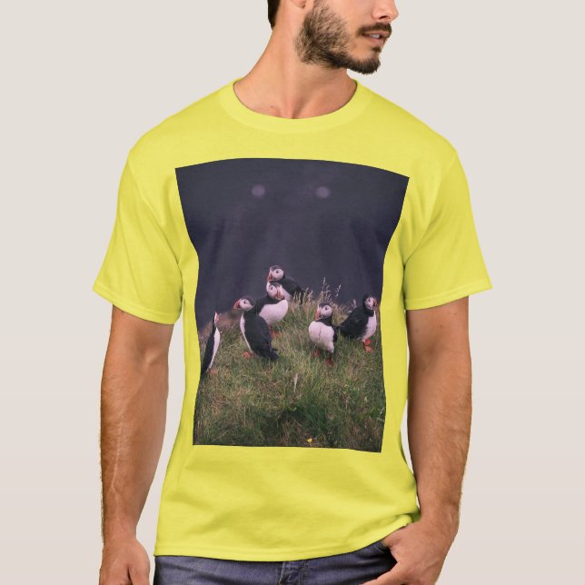 Camiseta Puffins Atlântico (Frente)