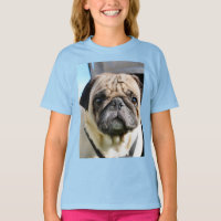 Pug