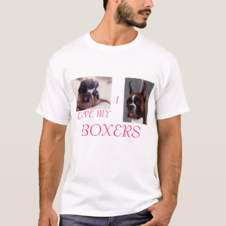 Camiseta Pugilistas