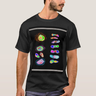 Camiseta Pulgas e flechas de arte num pano de fundo preto