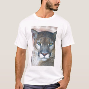 Camiseta Puma, leão-da-montanha, pantera-da-flórida, Puma