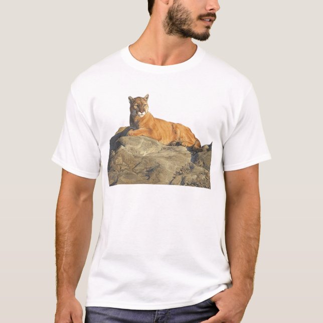 Camiseta puma na rocha (Frente)