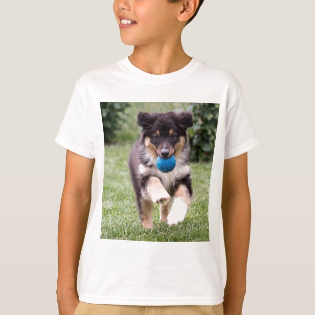 Camiseta Pup de Shepherd Australiano de três cores (Frente)