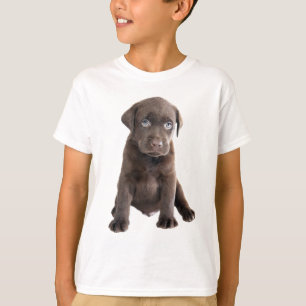 Camiseta Puppie de chocolate