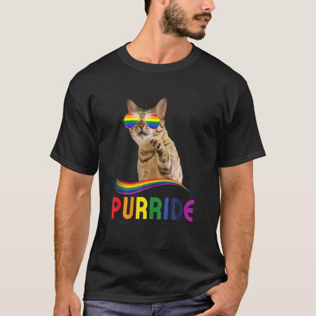 Camiseta Purride Rainbow Pride Cat Lgbq Cat Ee (Frente)