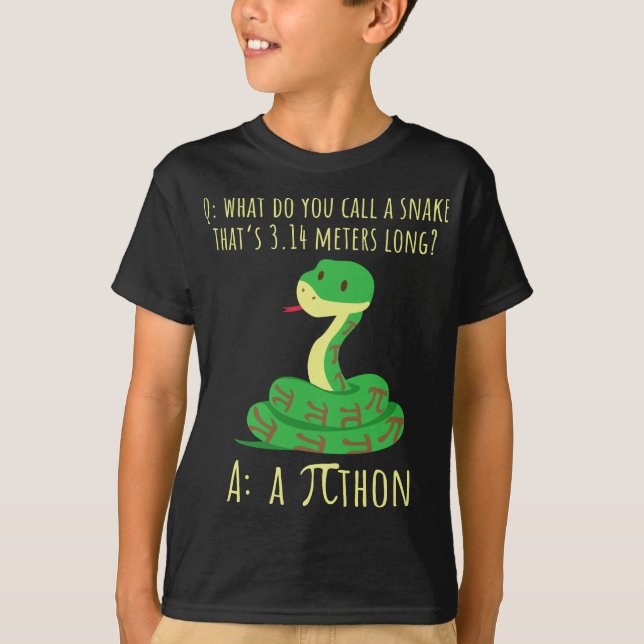 Camiseta Python Pithon Pi Símbolo Engraçado Matemático Prof (Frente)