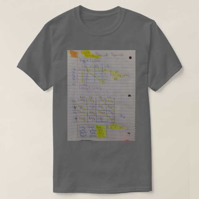 Camiseta Quadrados do Bio Punnet (Frente do Design)