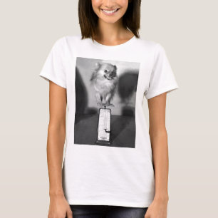 Camiseta Quanto eu peso?