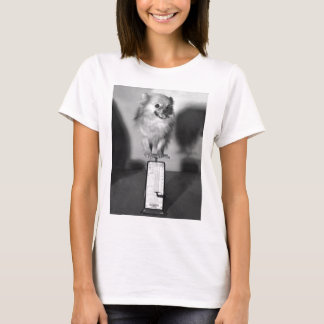 Camiseta Quanto eu peso?