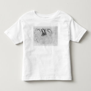 Camiseta Quatorze egrets, o do álbum de Vallardi