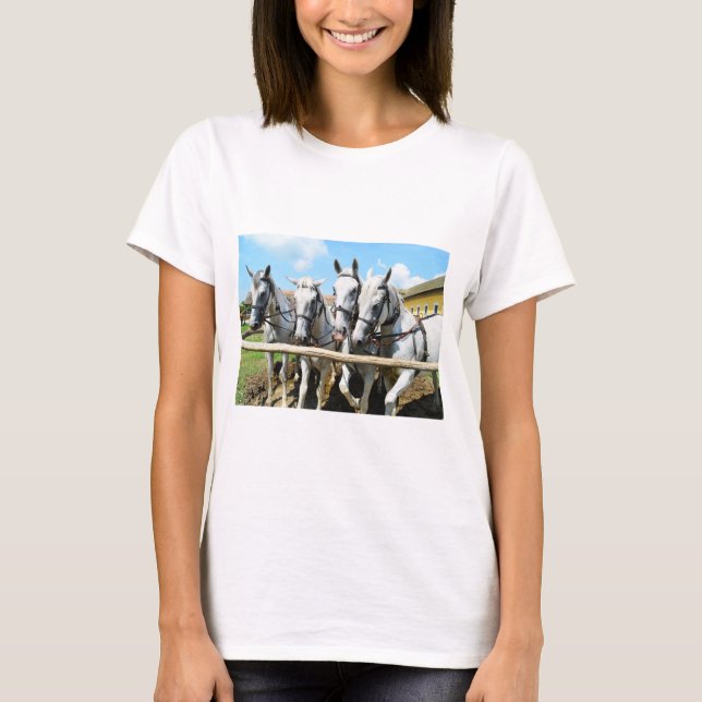 Camiseta Quatro belos animais cavalos (Frente)