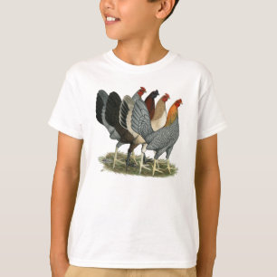 Camiseta Quatro Galinhas Gamefowl