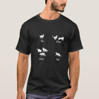 Quatro Gatos Gato Francês