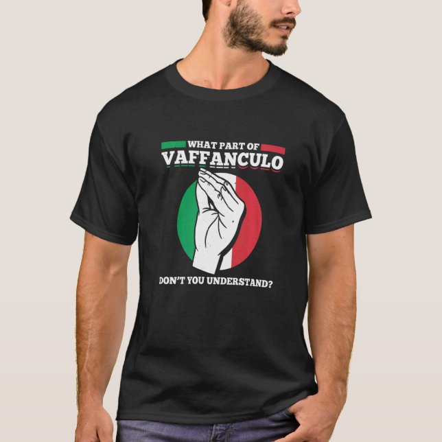 Camiseta Que Parte Do Vaffanculo Você Não Entende? (Frente)