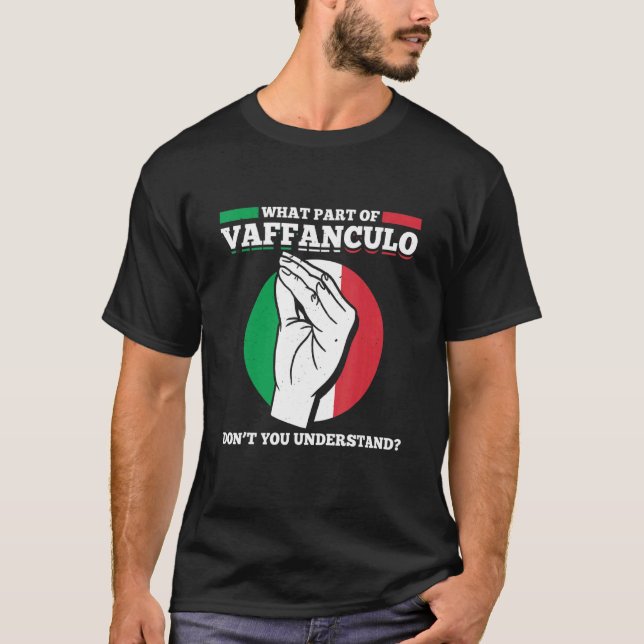 Camiseta Que Parte Do Vaffanculo Você Não Entende? (Frente)
