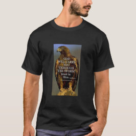 Camiseta Que tal "Salas Divinas: Soando com Fé"?