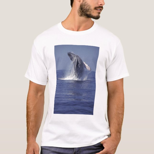 Camiseta Quebra de baleia-jubarte (Megaptera) (Frente)