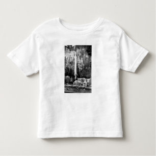 Camiseta Quedas de Multnomah e fotografia do alojamento