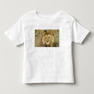Camiseta Quênia Masai Mara