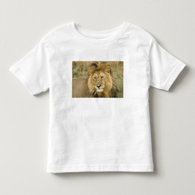 Camiseta Quênia Masai Mara (Frente)