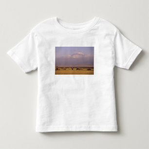 Camiseta Quênia: Parque Nacional de Amboseli, Elefantes