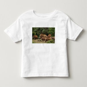 Camiseta Quênia: Parque Nacional de Tsavo East, manada Afri