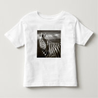 Quênia. Preto e branco de zebra e planície.