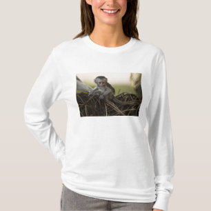 Camiseta Quênia, Reserva de Caça Samburu. Macaco Vervet