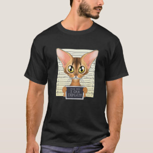 Camiseta Querida Mãe, Posso Explicar Que Eu Gato Abissinian